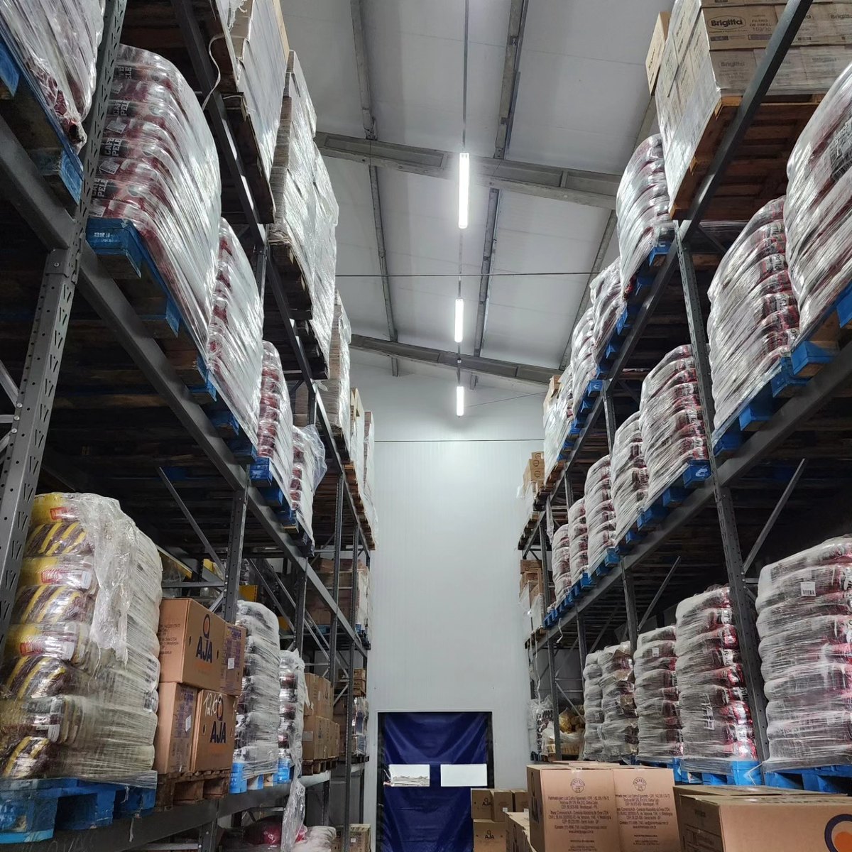 Interior da câmara de ovos executada pela MARFI na AJA Alimentos